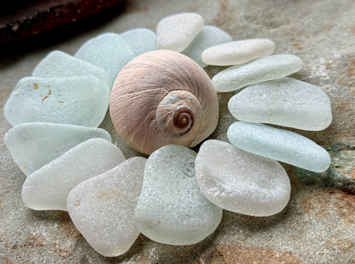 Large White Sea Glass Set of 12 – Genuine Beach Glass 3–5 cm – Jewelry & Coastal Decor Supply (B101)