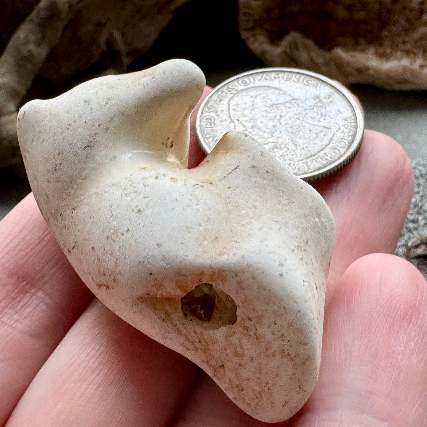 Sea Pottery Animal Figurine – Beach Found Ceramic Mini Sculpture, Wabi Sabi Decor, Ocean Tumbled Collectible A2004
