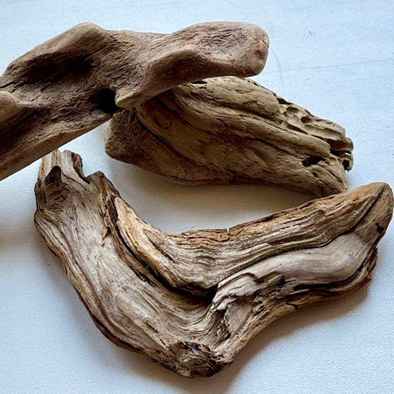 Driftwood