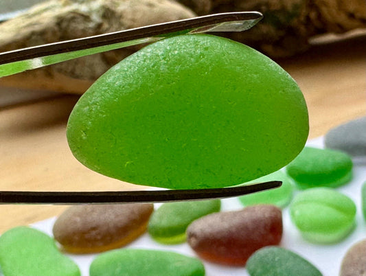 Green & Brown Genuine Sea Glass #049 Mix 270g Bulk Japanese Beach Glass for Mosaic & Crafts Lot #049
