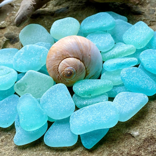 Set of 12 Genuine Sea Glass Pieces – Small Aqua Beach Glass 1–3 cm – Jewelry Making Supply – Natural Ocean Tumbled Sea Glass (B030)