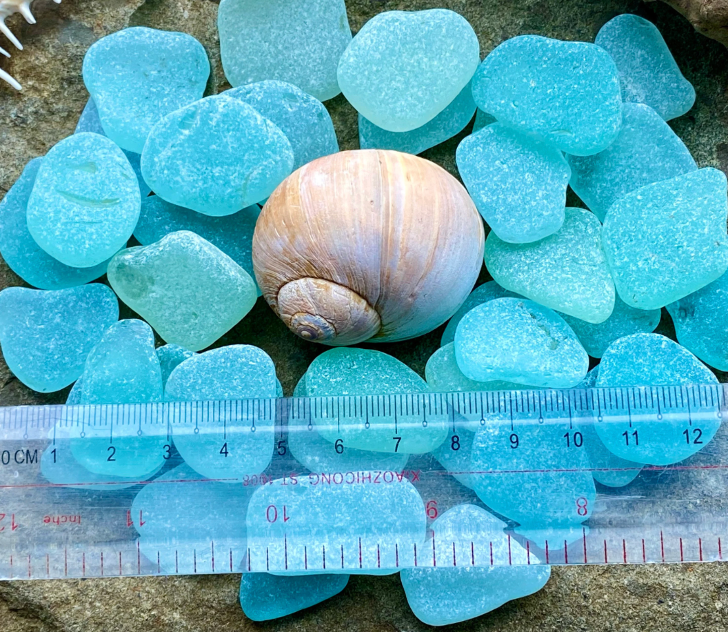 Set of 12 Genuine Sea Glass Pieces – Small Aqua Beach Glass 1–3 cm – Jewelry Making Supply – Natural Ocean Tumbled Sea Glass (B030)