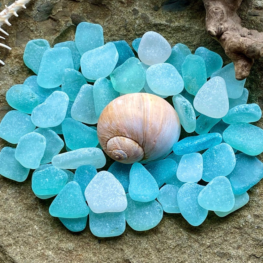Tiny Aqua Sea Glass Set of 12 – Genuine Beach Glass 0.5–1.5 cm – Micro Sea Glass for Jewelry, Resin & Mosaic Craft (B020)
