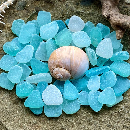Tiny Aqua Sea Glass Set of 12 – Genuine Beach Glass 0.5–1.5 cm – Micro Sea Glass for Jewelry, Resin & Mosaic Craft (B020)