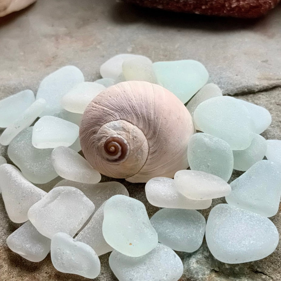 Small White Sea Glass Set of 12 B103 – Genuine Beach Glass 0.5–1.5 cm – Resin, Jewelry & Mini Craft Supply