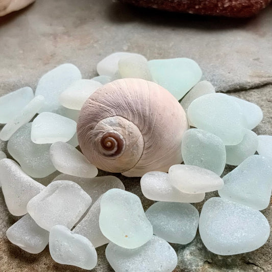 Small White Sea Glass Set of 12 B103 – Genuine Beach Glass 0.5–1.5 cm – Resin, Jewelry & Mini Craft Supply