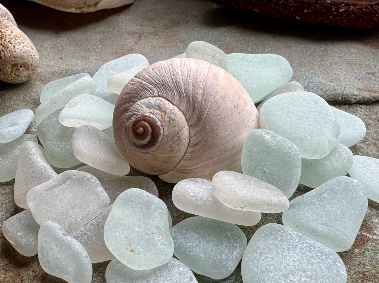 Small White Sea Glass Set of 12 B103 – Genuine Beach Glass 0.5–1.5 cm – Resin, Jewelry & Mini Craft Supply