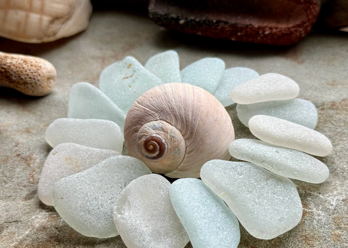 Large White Sea Glass Set of 12 – Genuine Beach Glass 3–5 cm – Jewelry & Coastal Decor Supply (B101)