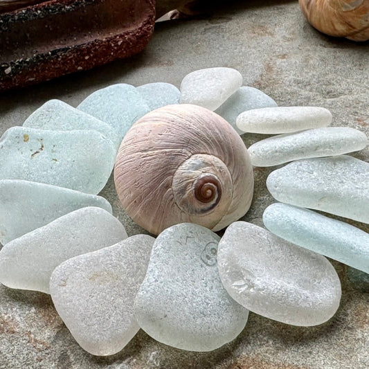 Large White Sea Glass Set of 12 – Genuine Beach Glass 3–5 cm – Jewelry & Coastal Decor Supply (B101)