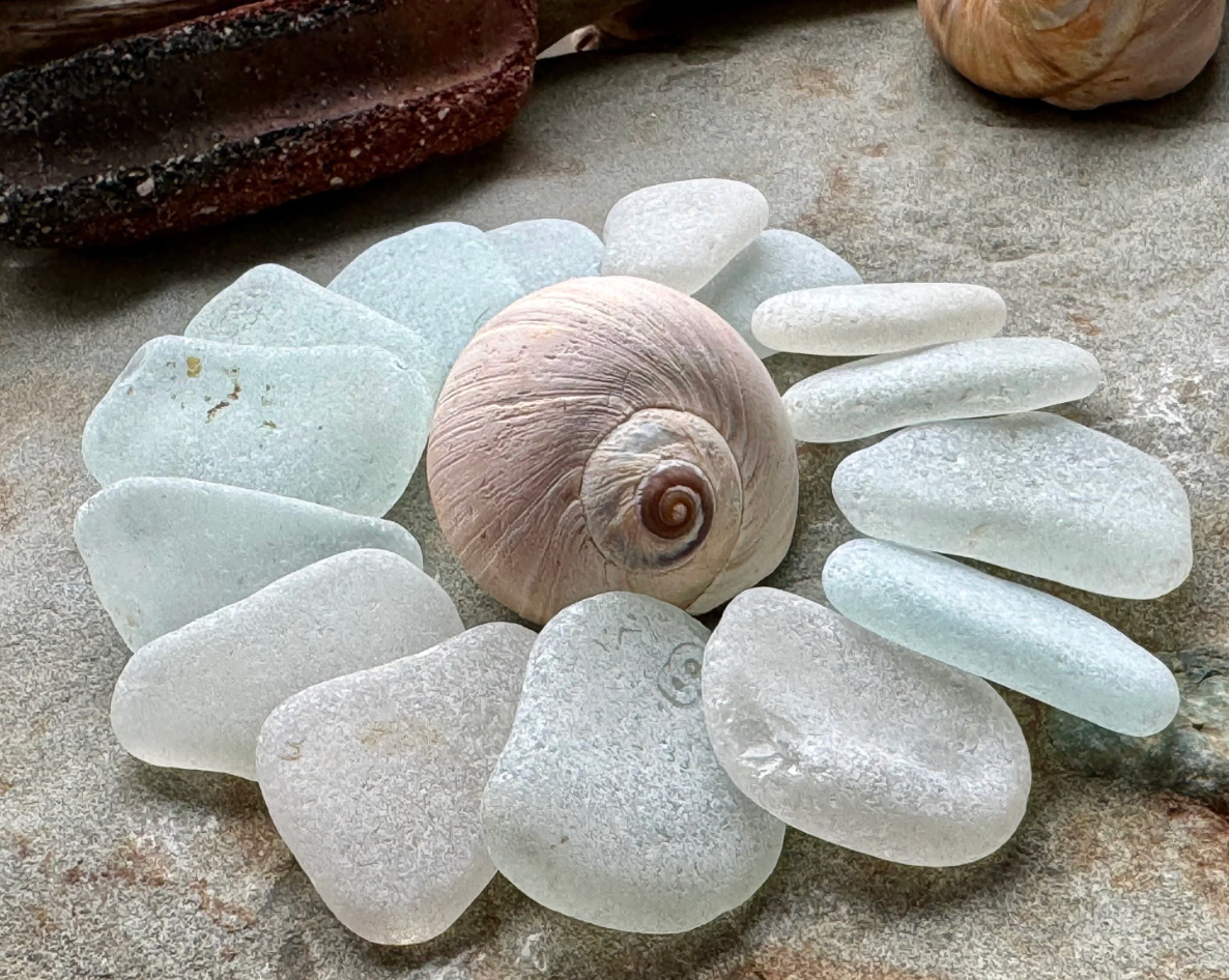 Large White Sea Glass Set of 12 – Genuine Beach Glass 3–5 cm – Jewelry & Coastal Decor Supply (B101)