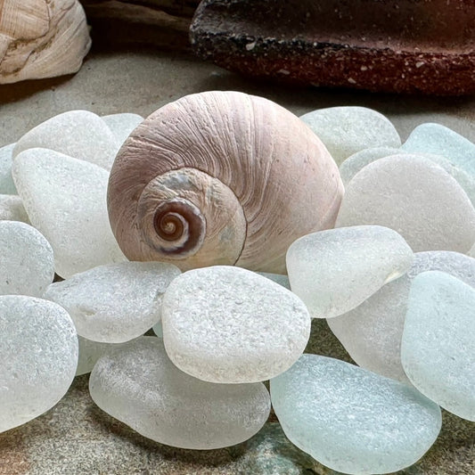 White Sea Glass Set of 12 – Genuine Beach Glass 2–3 cm – Jewelry Making & Craft Supply (B104)