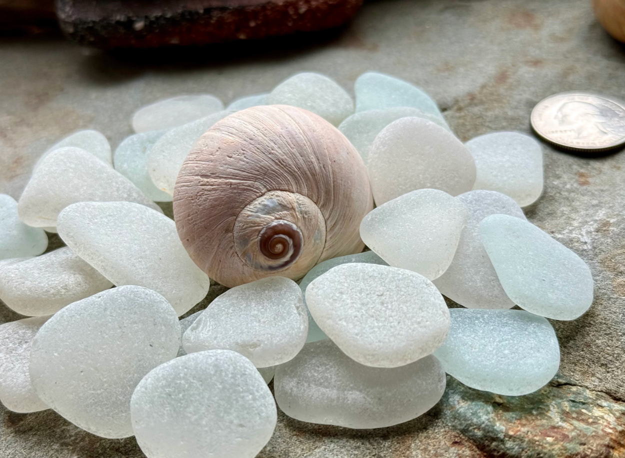 White Sea Glass Set of 12 – Genuine Beach Glass 2–3 cm – Jewelry Making & Craft Supply (B104)