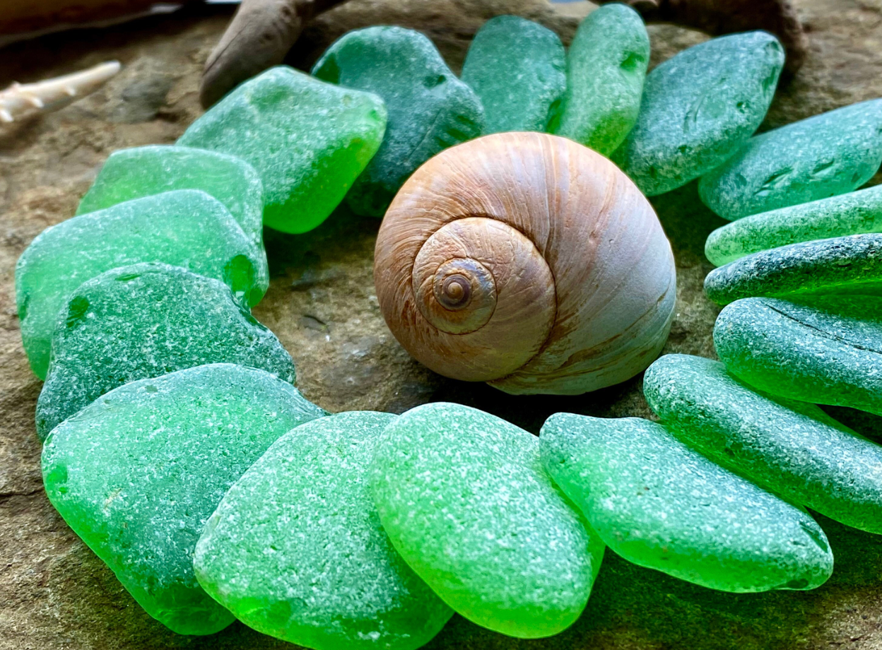 Large Green Sea Glass Set of 12 – Genuine Beach Glass 3–5 cm – Jewelry & Coastal Craft Supplies (B050)