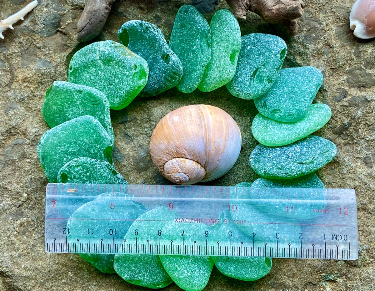 Large Green Sea Glass Set of 12 – Genuine Beach Glass 3–5 cm – Jewelry & Coastal Craft Supplies (B050)