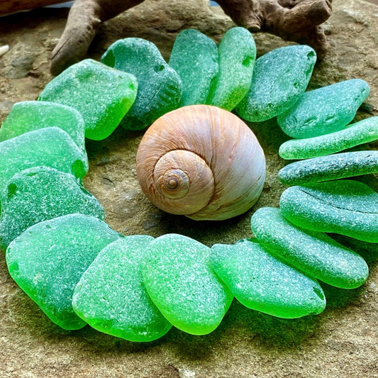 Large Green Sea Glass Set of 12 – Genuine Beach Glass 3–5 cm – Jewelry & Coastal Craft Supplies (B050)