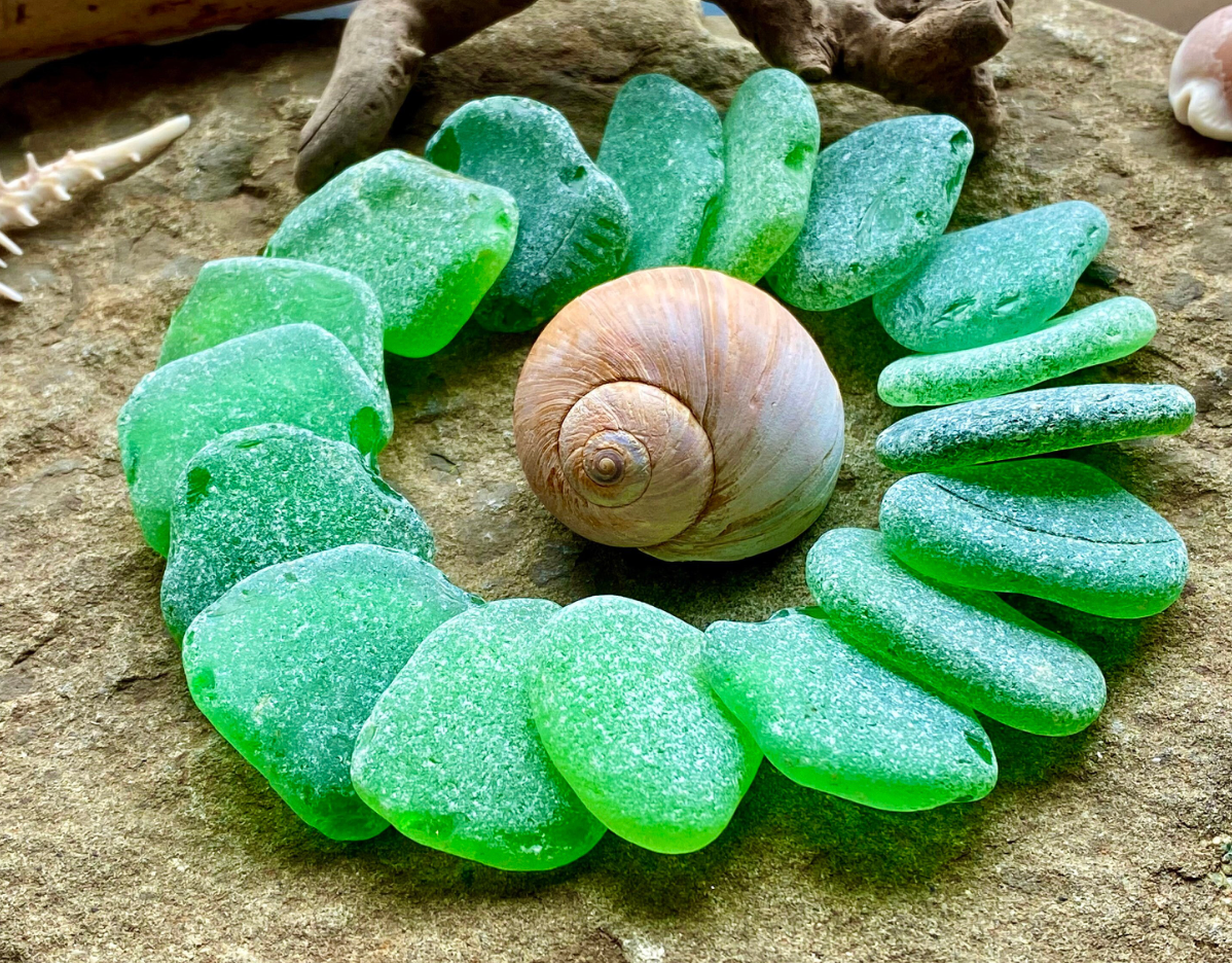 Large Green Sea Glass Set of 12 – Genuine Beach Glass 3–5 cm – Jewelry & Coastal Craft Supplies (B050)