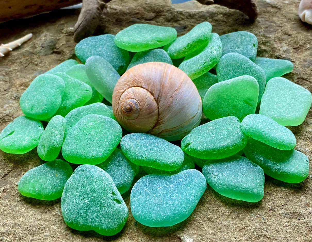 Medium Green Sea Glass Set of 12 – Genuine Beach Glass 2–3 cm – Jewelry Making & Craft Supply (B070)