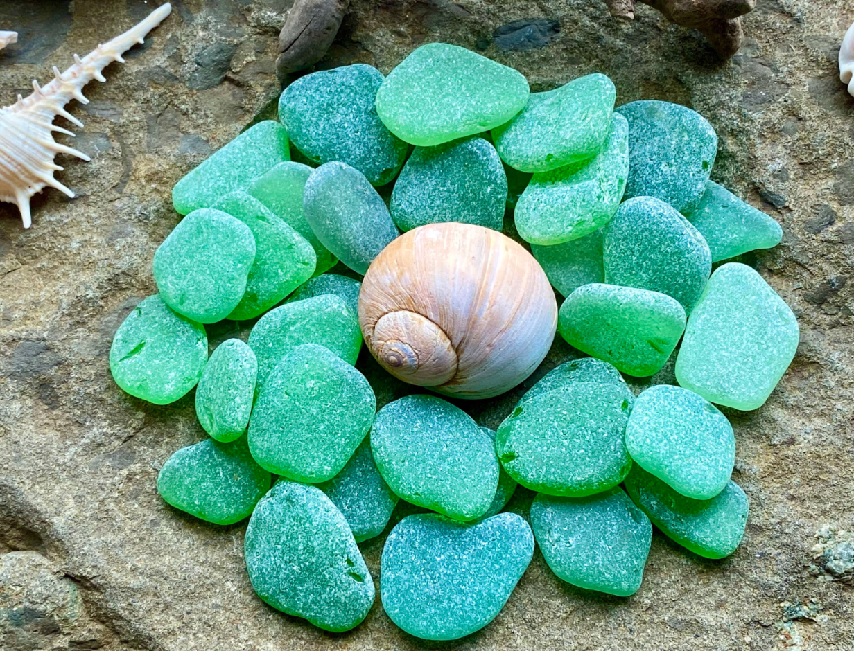 Medium Green Sea Glass Set of 12 – Genuine Beach Glass 2–3 cm – Jewelry Making & Craft Supply (B070)