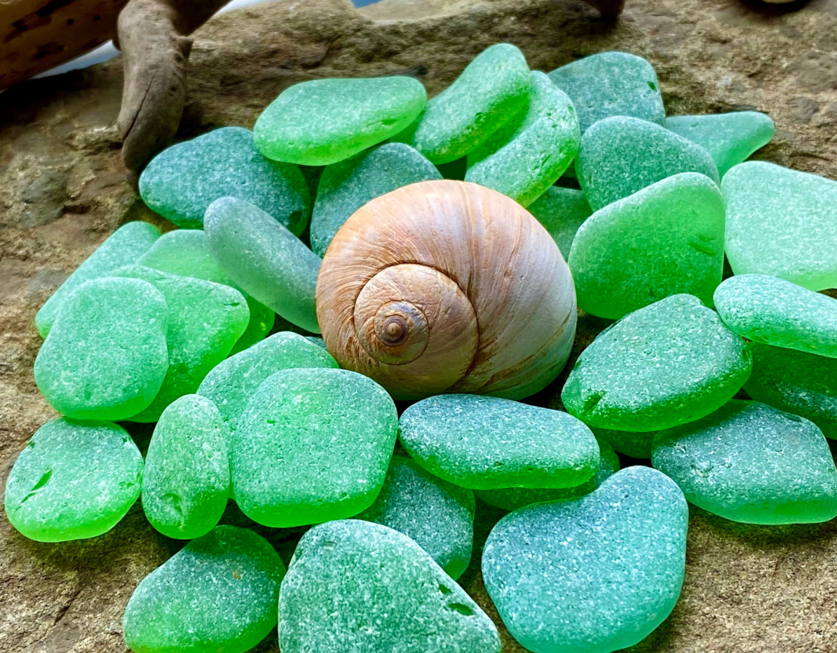 Medium Green Sea Glass Set of 12 – Genuine Beach Glass 2–3 cm – Jewelry Making & Craft Supply (B070)