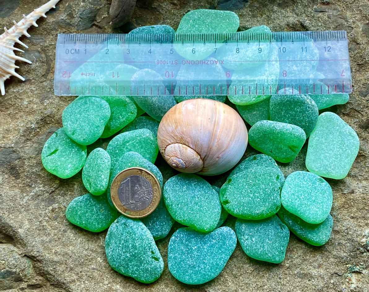 Medium Green Sea Glass Set of 12 – Genuine Beach Glass 2–3 cm – Jewelry Making & Craft Supply (B070)