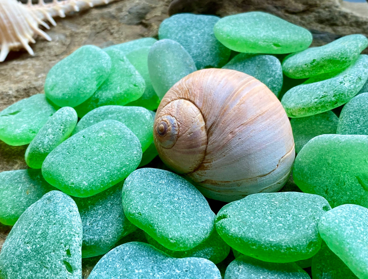 Medium Green Sea Glass Set of 12 – Genuine Beach Glass 2–3 cm – Jewelry Making & Craft Supply (B070)