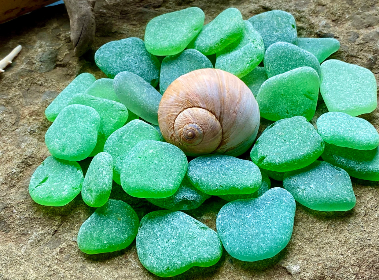 Medium Green Sea Glass Set of 12 – Genuine Beach Glass 2–3 cm – Jewelry Making & Craft Supply (B070)