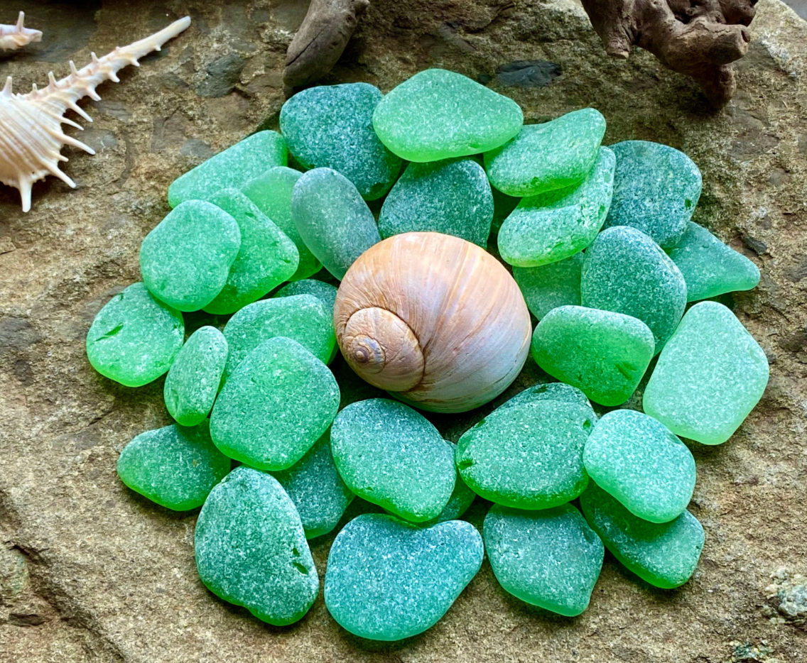 Medium Green Sea Glass Set of 12 – Genuine Beach Glass 2–3 cm – Jewelry Making & Craft Supply (B070)
