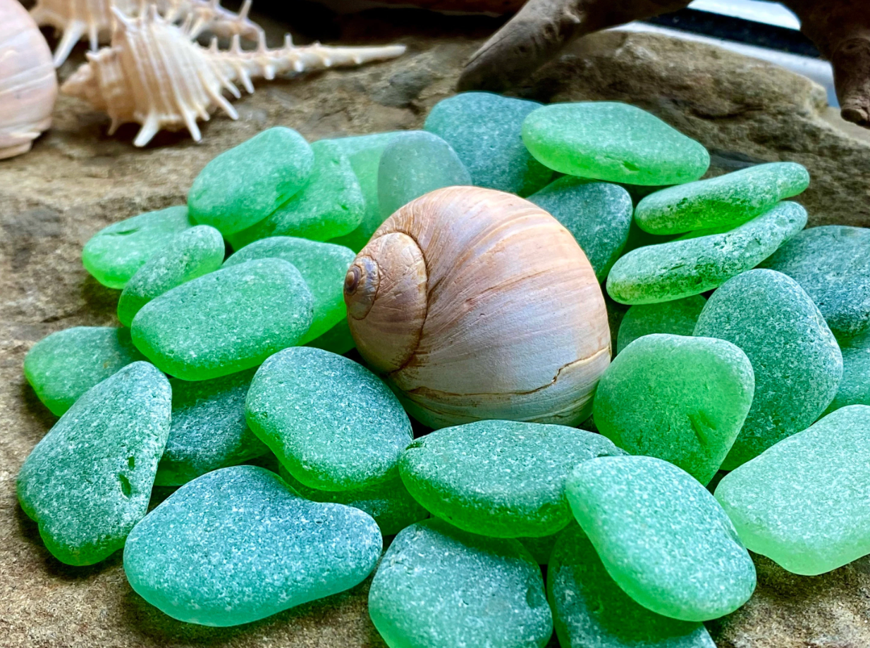 Medium Green Sea Glass Set of 12 – Genuine Beach Glass 2–3 cm – Jewelry Making & Craft Supply (B070)