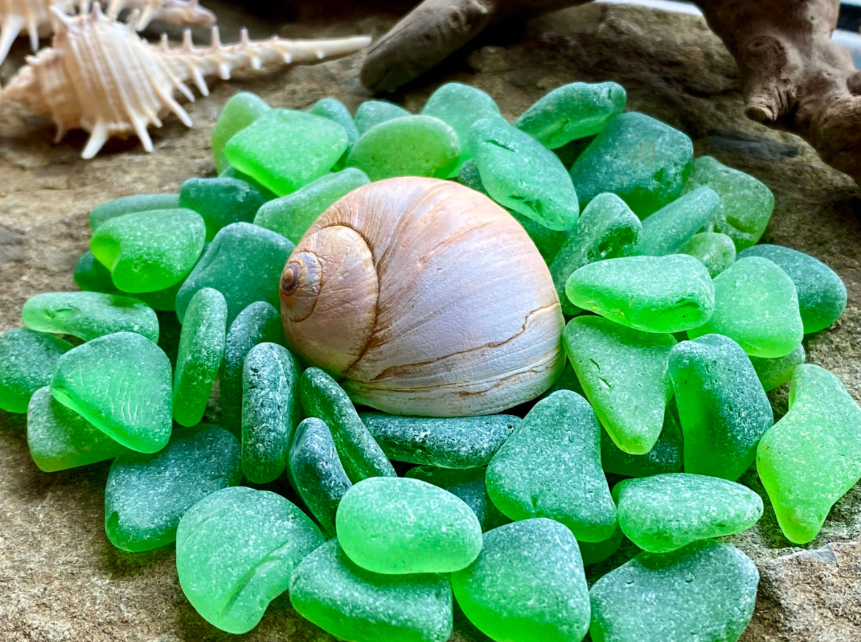 Small Green Sea Glass Set of 12 – Genuine Beach Glass 0.5–1.5 cm – Jewelry & Resin Craft Supplies (B080)