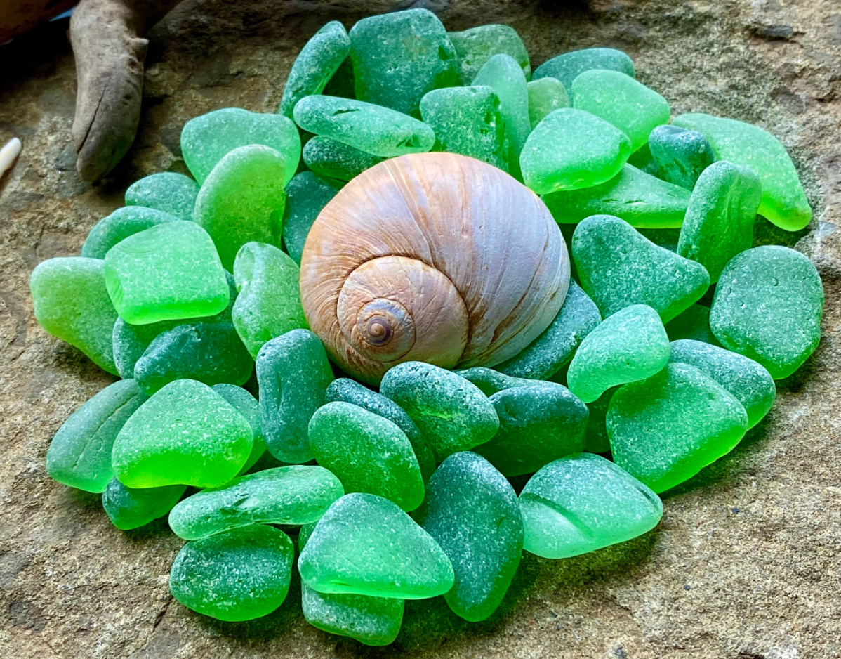 Small Green Sea Glass Set of 12 – Genuine Beach Glass 0.5–1.5 cm – Jewelry & Resin Craft Supplies (B080)