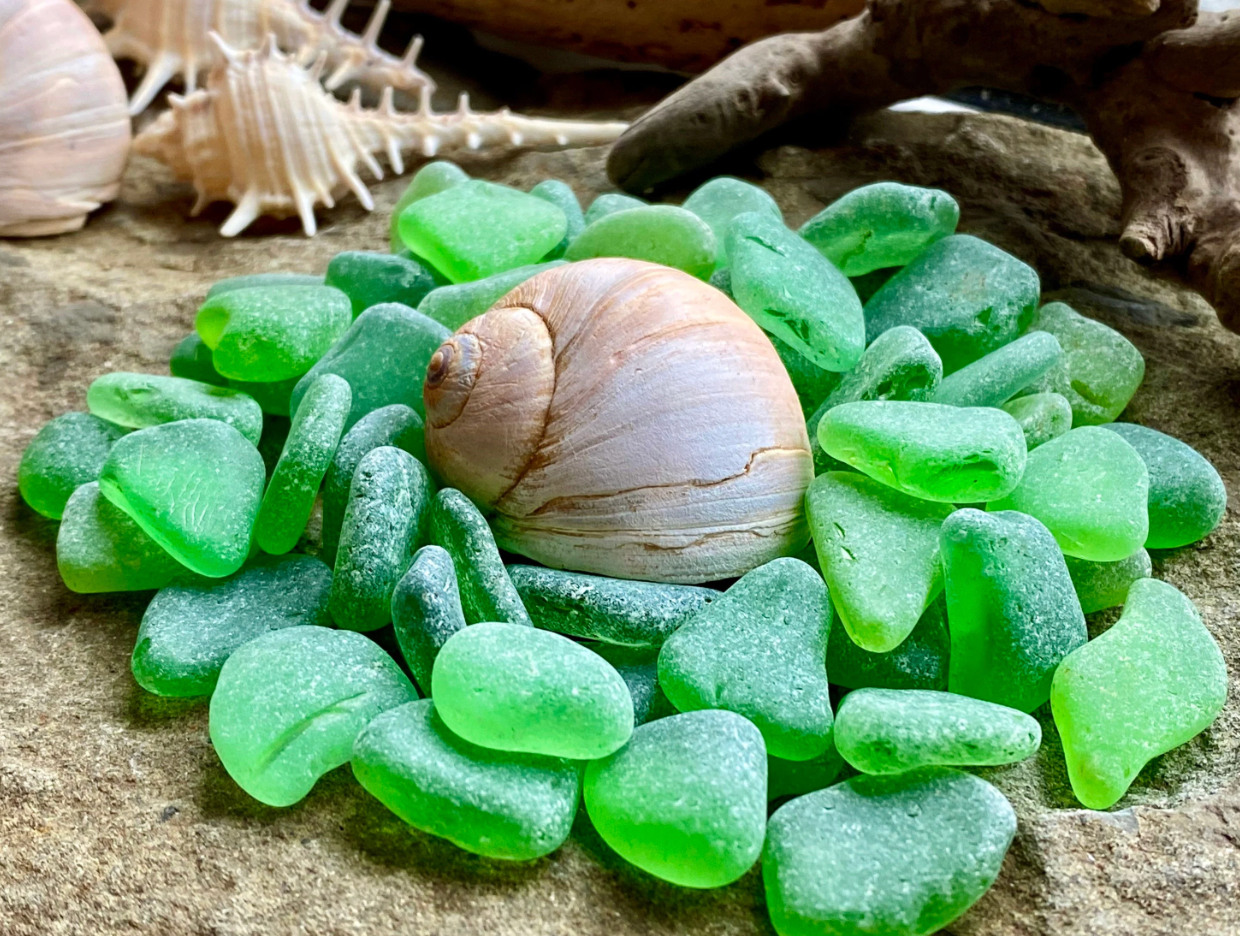 Small Green Sea Glass Set of 12 – Genuine Beach Glass 0.5–1.5 cm – Jewelry & Resin Craft Supplies (B080)