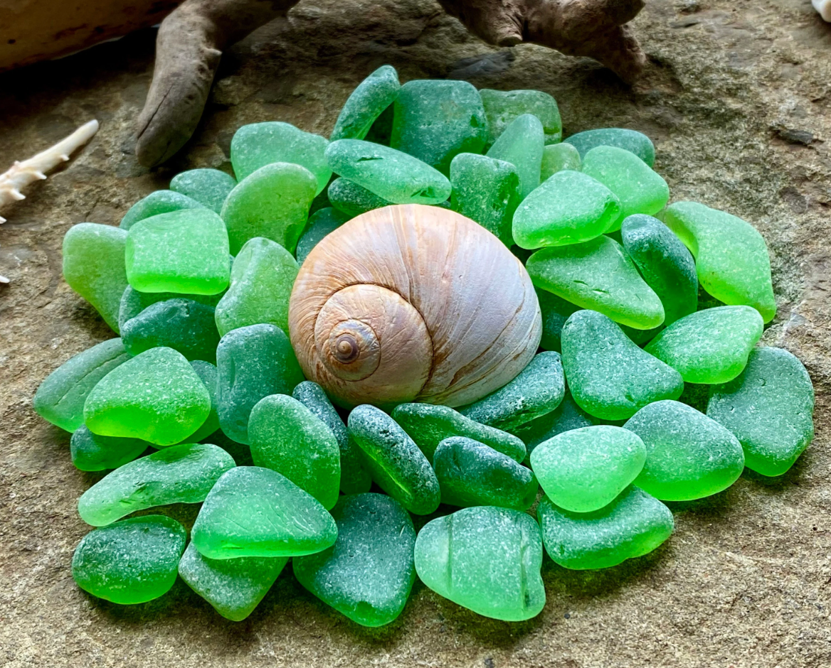 Small Green Sea Glass Set of 12 – Genuine Beach Glass 0.5–1.5 cm – Jewelry & Resin Craft Supplies (B080)