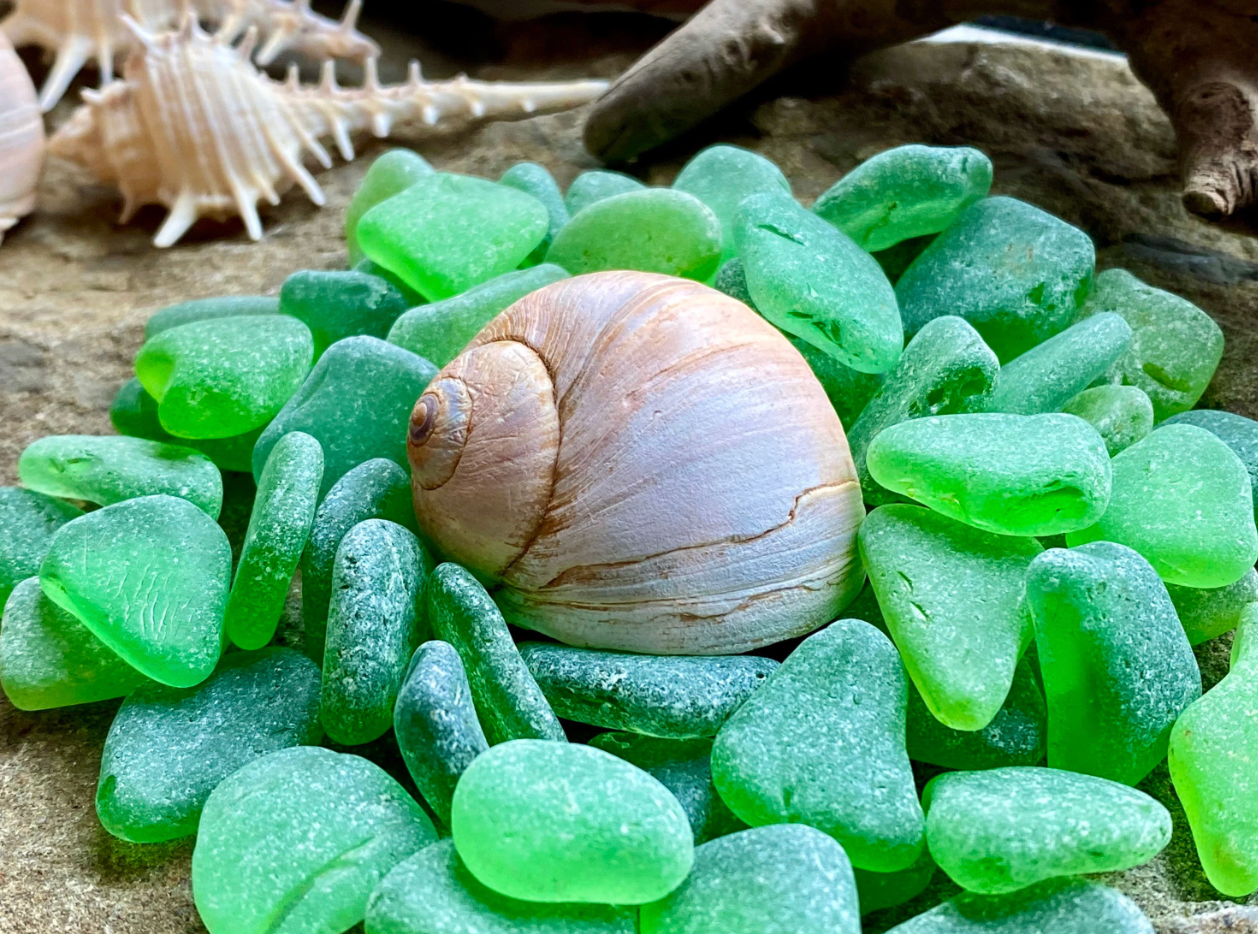 Small Green Sea Glass Set of 12 – Genuine Beach Glass 0.5–1.5 cm – Jewelry & Resin Craft Supplies (B080)