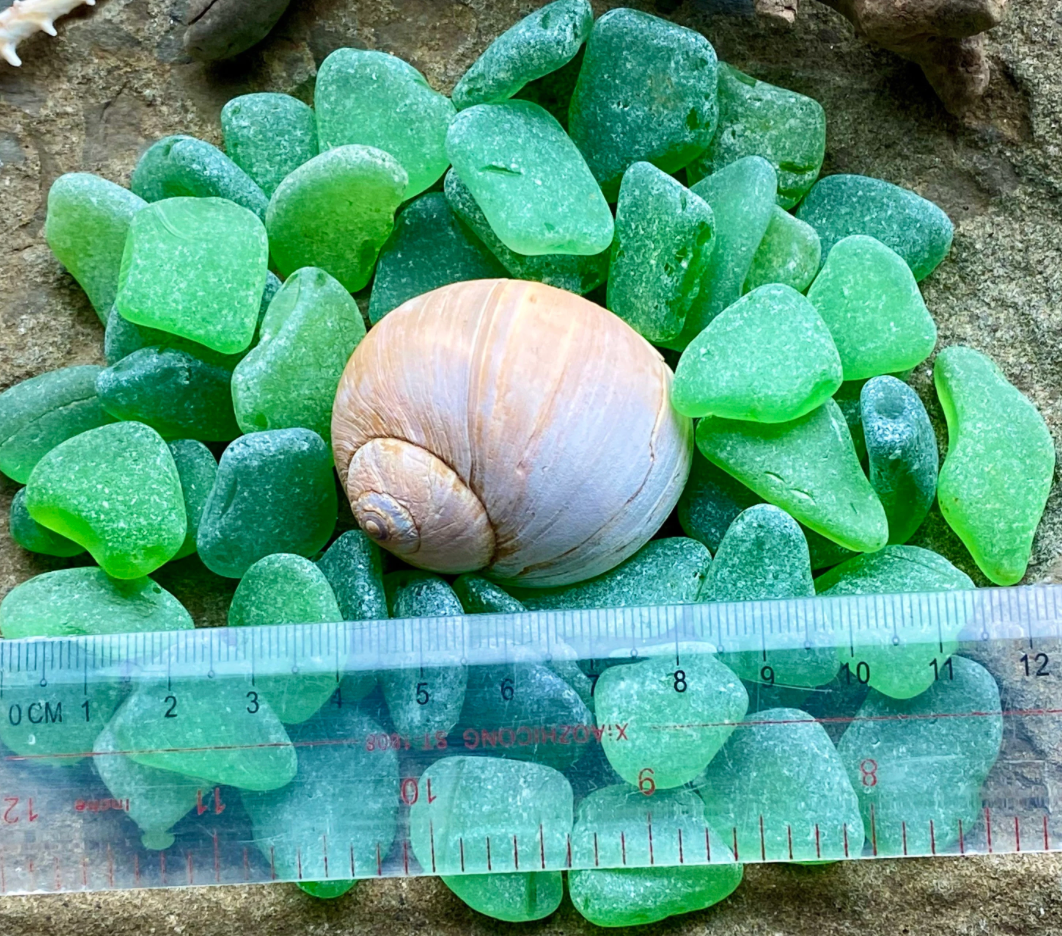 Small Green Sea Glass Set of 12 – Genuine Beach Glass 0.5–1.5 cm – Jewelry & Resin Craft Supplies (B080)