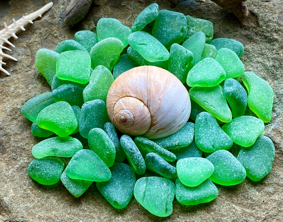 Small Green Sea Glass Set of 12 – Genuine Beach Glass 0.5–1.5 cm – Jewelry & Resin Craft Supplies (B080)
