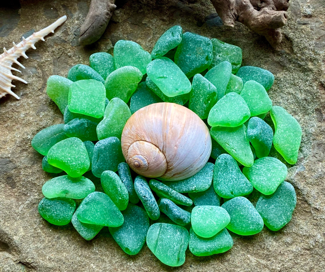 Small Green Sea Glass Set of 12 – Genuine Beach Glass 0.5–1.5 cm – Jewelry & Resin Craft Supplies (B080)