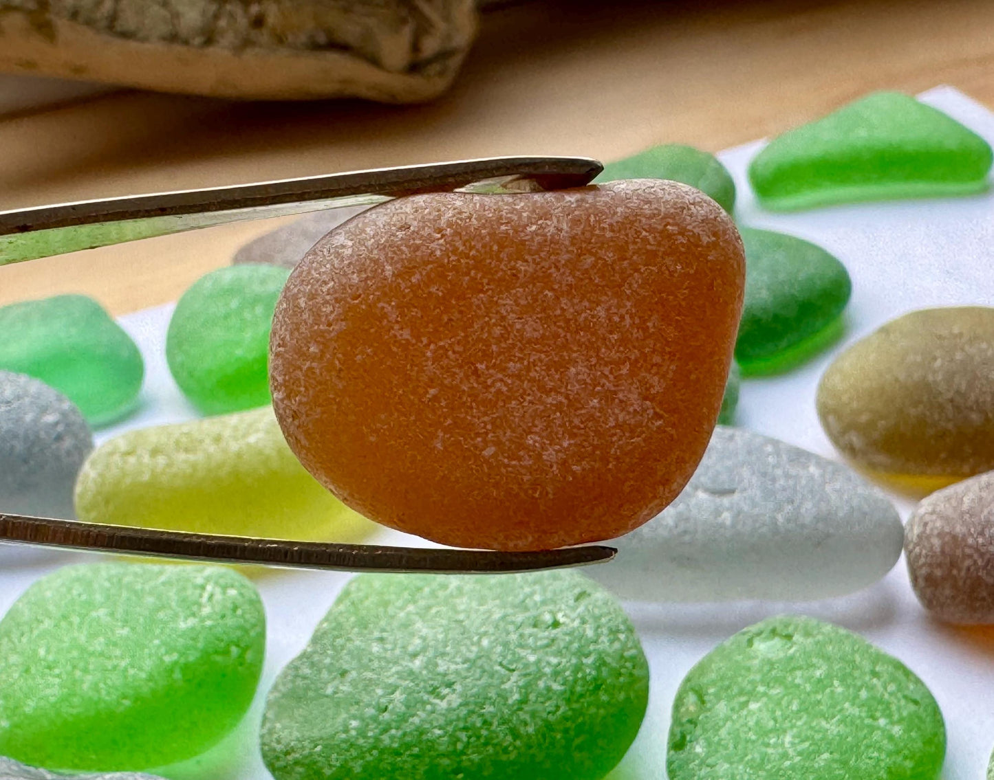 Green & Brown Genuine Sea Glass #048 Mix 290g Bulk Japanese Beach Glass for Mosaic & Crafts Lot #048
