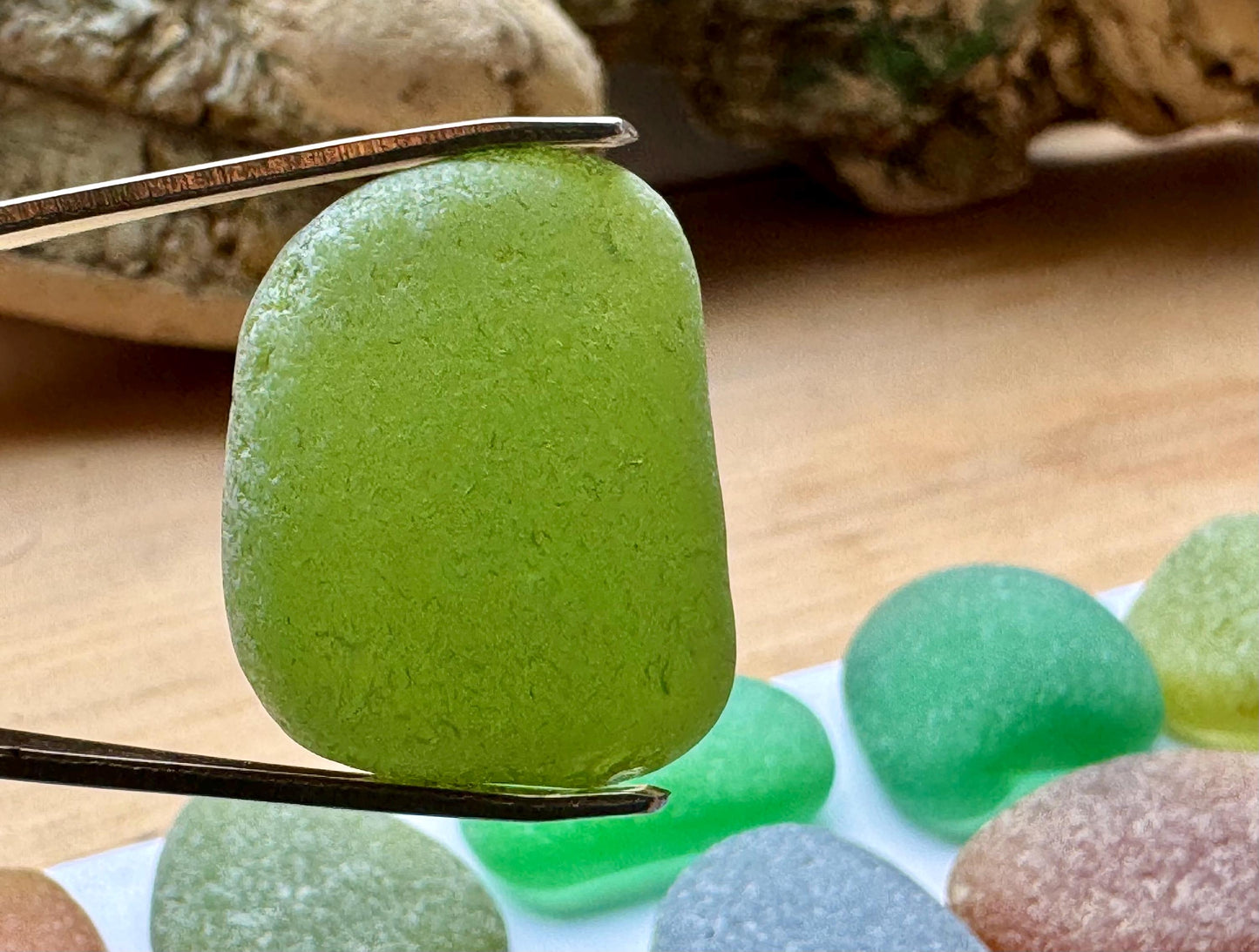 Amber & Olive Green Japanese Sea Glass #050 Genuine Beach Glass Large Bulk Lot