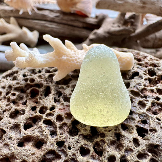 Rare Pale Yellow Sea Glass B2992– Genuine Surf-Tumbled Beach Glass for Jewelry Making