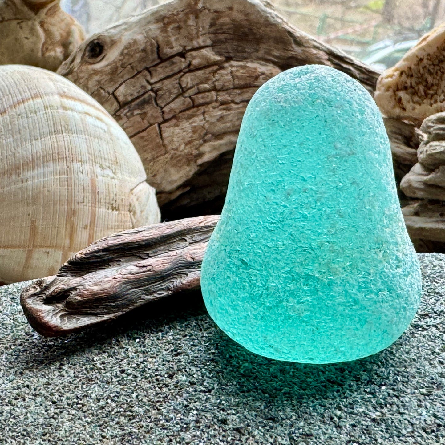 Large Rare Sea Glass Piece A1605 – Aqua Green Collector Beach Glass 1 pc
