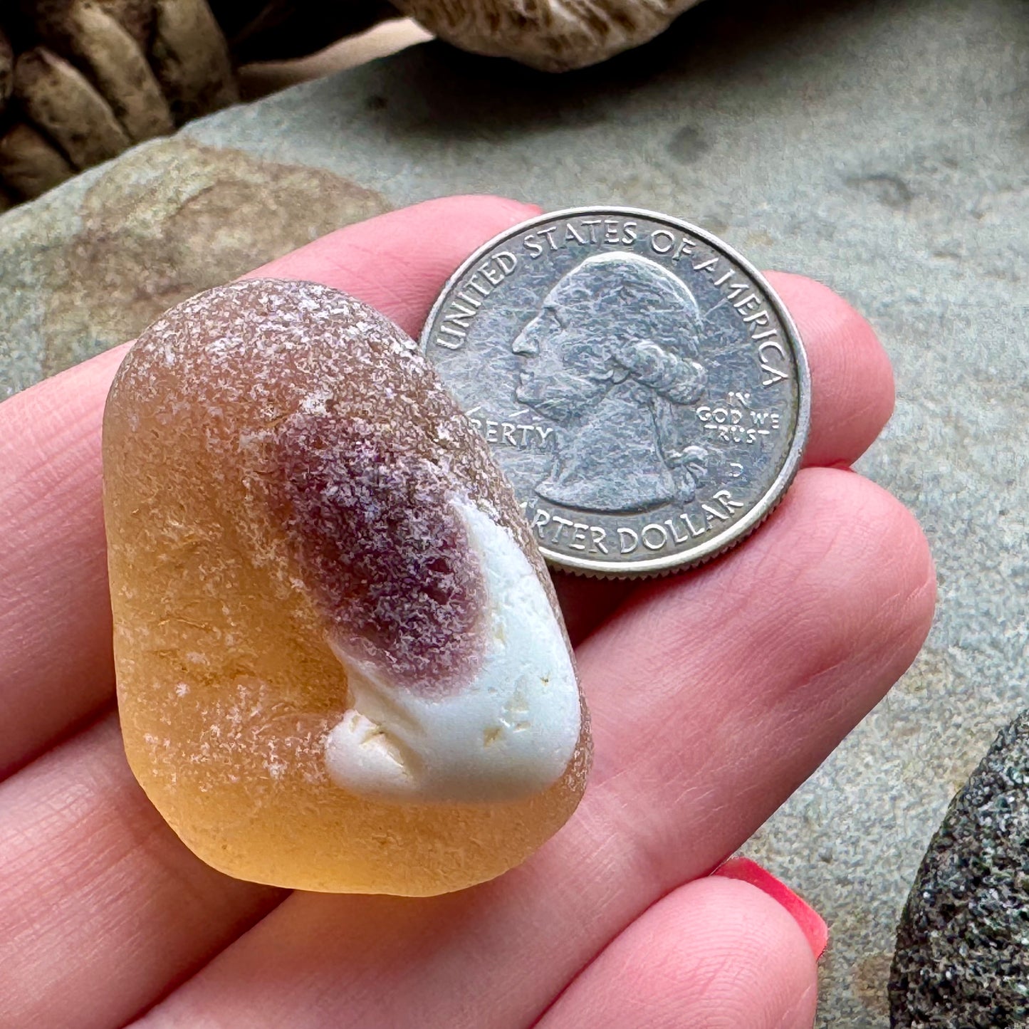 Rare Multicolor Sea Glass A2395 – Large Unique Collector Piece, Natural Ocean Tumbled