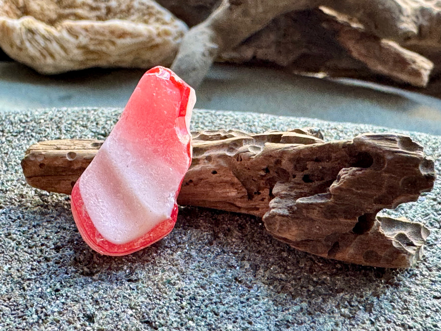 Red White Sea Glass A2417 Rare Multicolor Bottle Glass Genuine Beach Glass Jewelry Supply