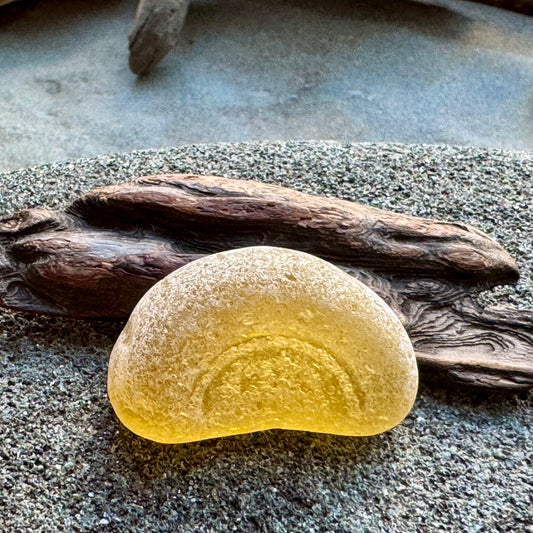 Amber Bottle Base Sea Glass A2423 • Genuine Beach Glass Pendant Piece • Rare Honey Sea Glass Jewelry Supply