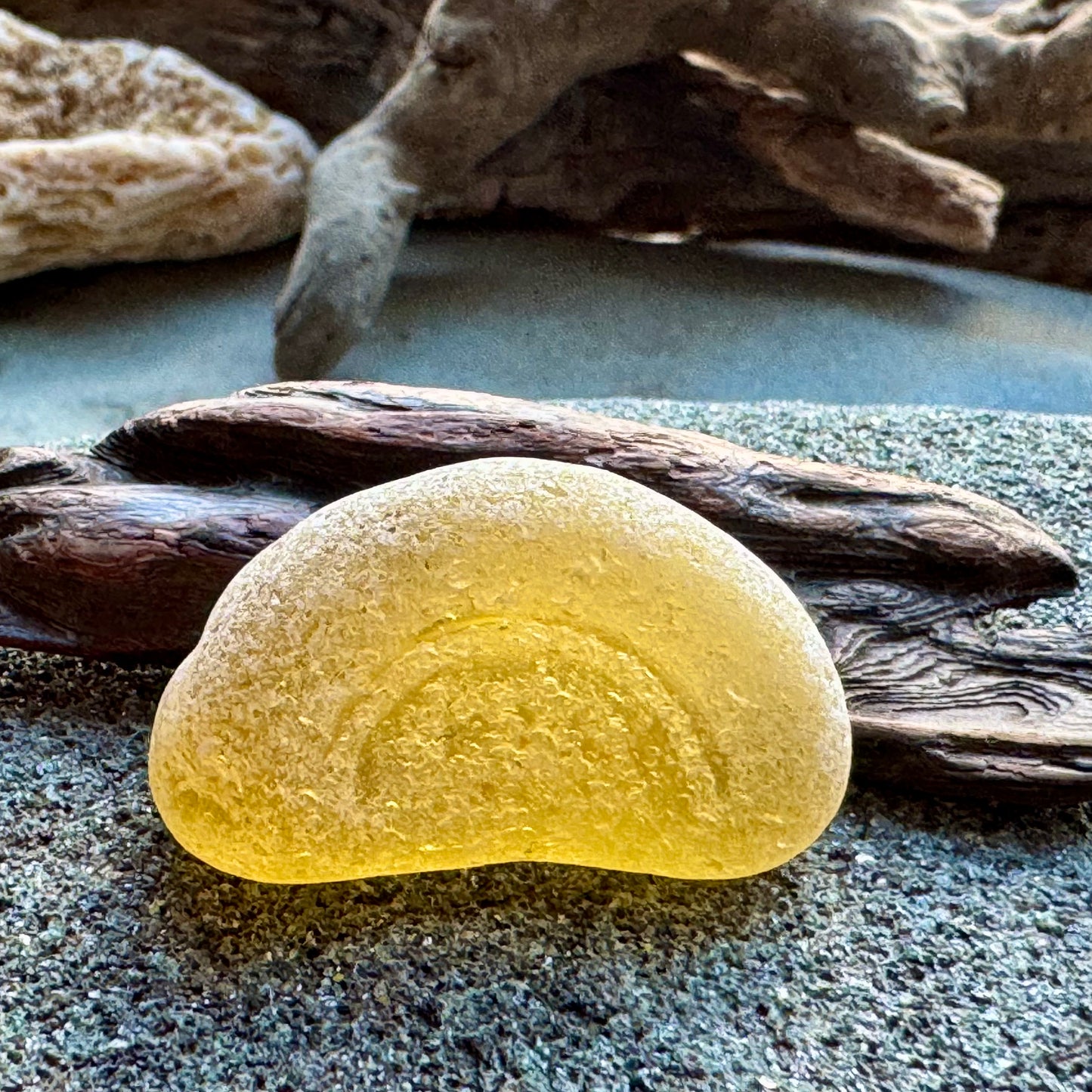 Amber Bottle Base Sea Glass A2423 • Genuine Beach Glass Pendant Piece • Rare Honey Sea Glass Jewelry Supply