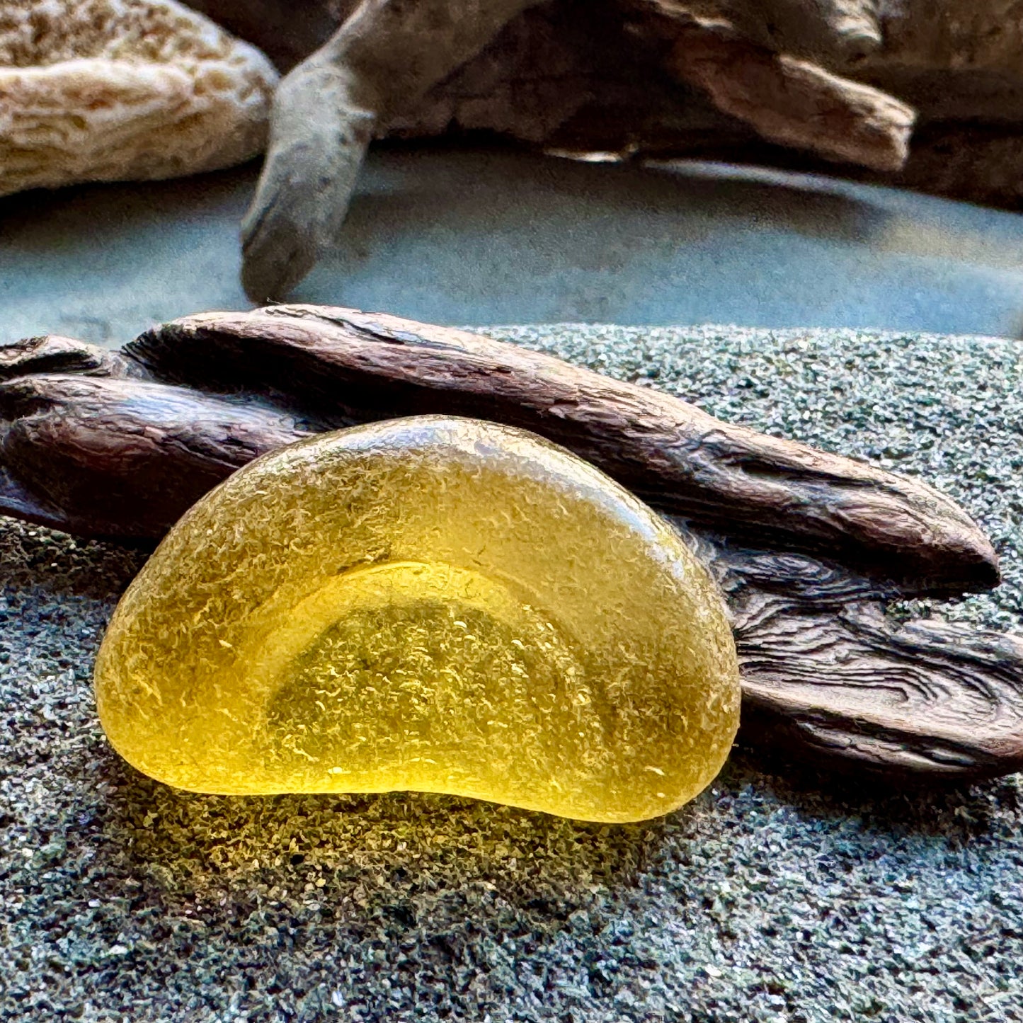 Amber Bottle Base Sea Glass A2423 • Genuine Beach Glass Pendant Piece • Rare Honey Sea Glass Jewelry Supply