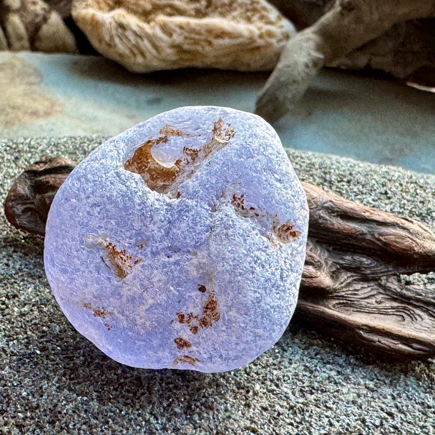 Rare Lavender Sea Glass A2430  – Collector Grade Beach Found Glass A2430