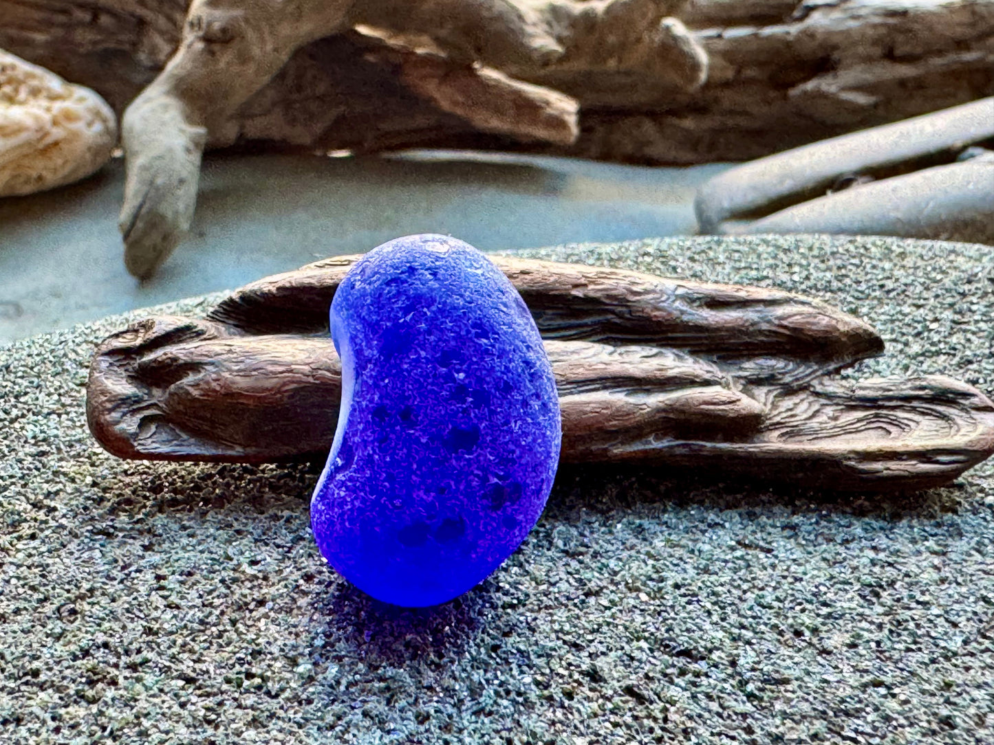 Cobalt Blue & White Sea Glass A2429 – Rare Multicolor Beach Glass, Jewelry Supply, Genuine Ocean Tumbled Piece