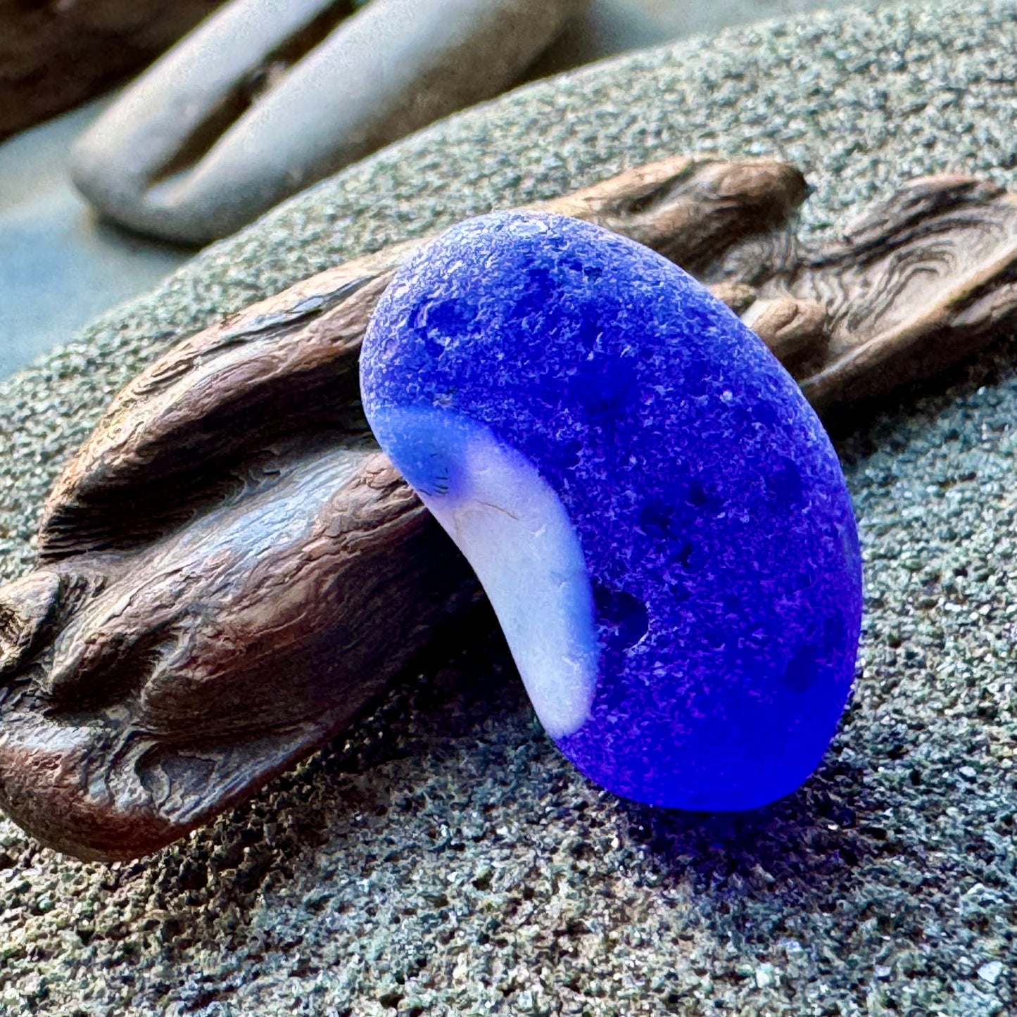 Cobalt Blue & White Sea Glass A2429 – Rare Multicolor Beach Glass, Jewelry Supply, Genuine Ocean Tumbled Piece