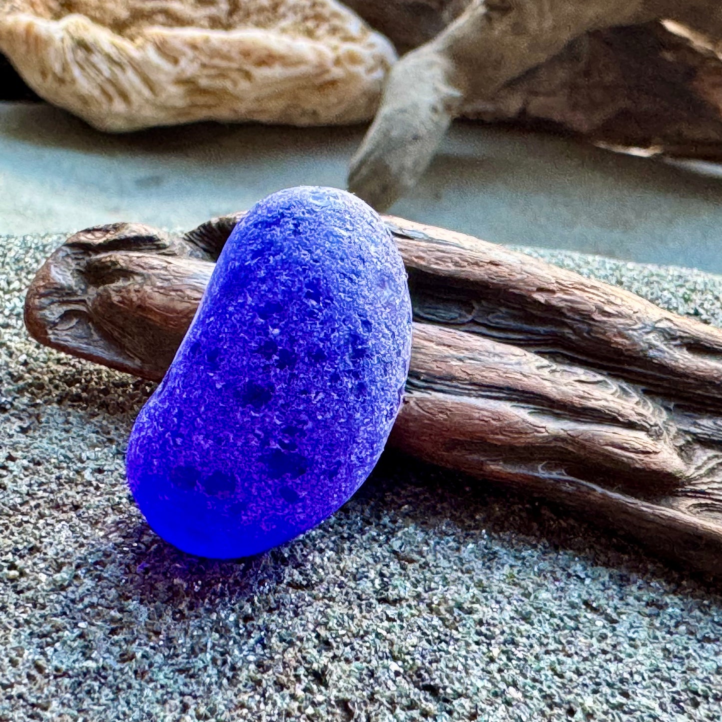 Cobalt Blue & White Sea Glass A2429 – Rare Multicolor Beach Glass, Jewelry Supply, Genuine Ocean Tumbled Piece