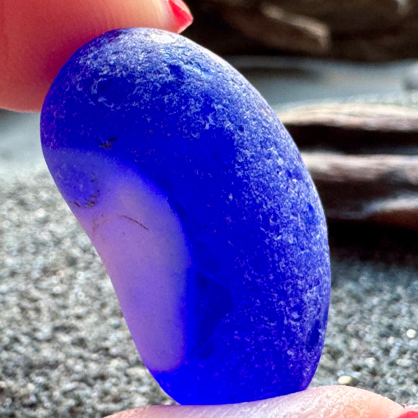 Cobalt Blue & White Sea Glass A2429 – Rare Multicolor Beach Glass, Jewelry Supply, Genuine Ocean Tumbled Piece